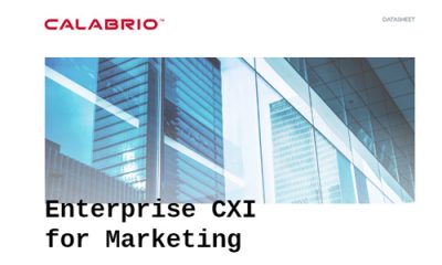 Text on image saying Enterprise CXI for Marketing