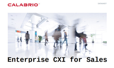Text on image saying Enterprise CXI for Sales