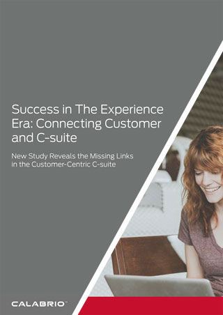 Cover of Success in the Experience Era - CCO Report